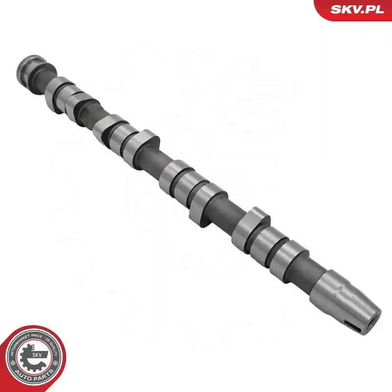 ESEN SKV 80SKV081 ESEN SKV 80SKV081