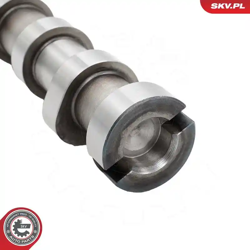ESEN SKV 80SKV300