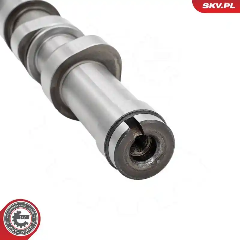 ESEN SKV 80SKV300