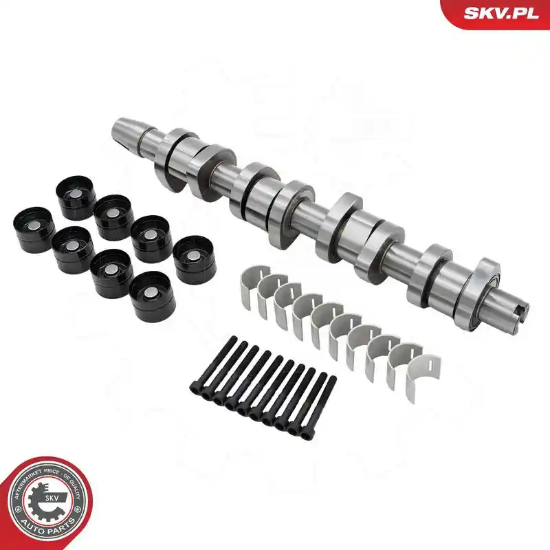 ESEN SKV 80SKV302