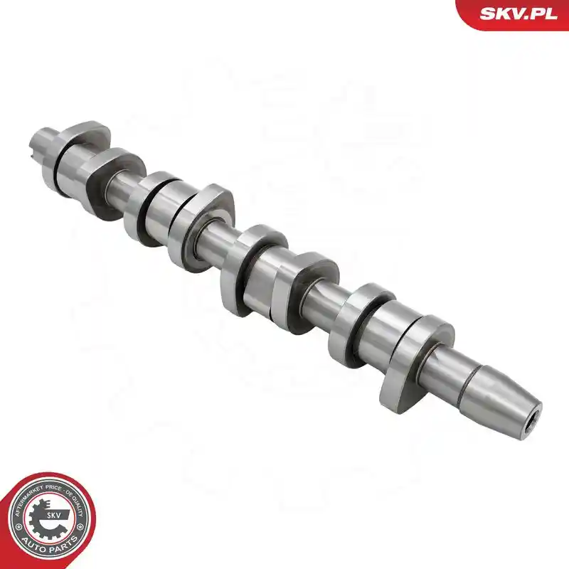 ESEN SKV 80SKV302