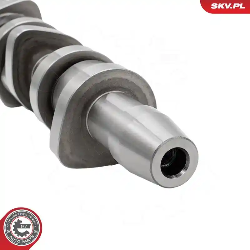 ESEN SKV 80SKV302