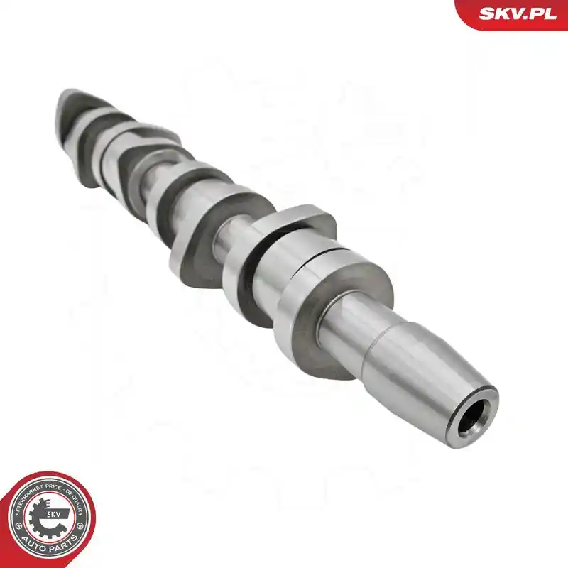 ESEN SKV 80SKV303