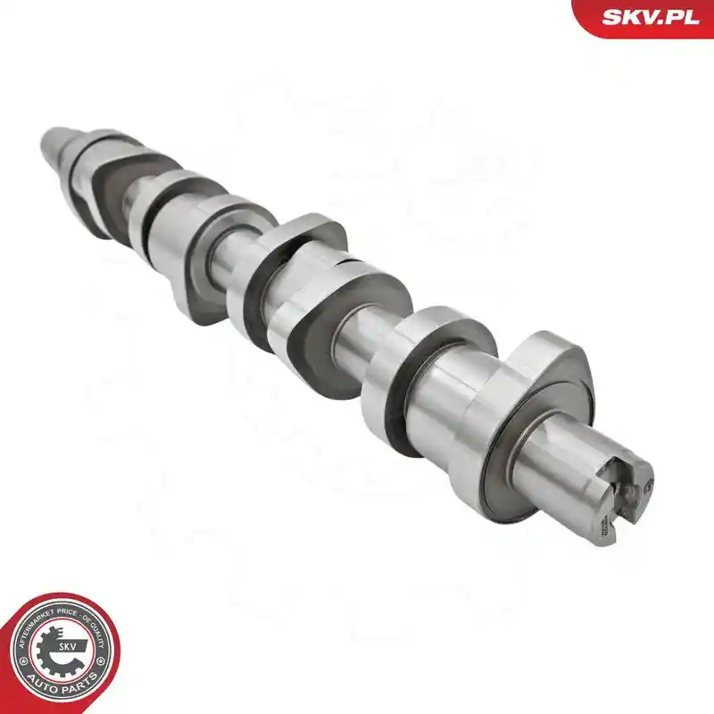 ESEN SKV 80SKV303
