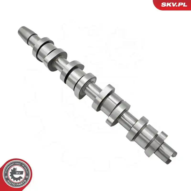 ESEN SKV 80SKV303