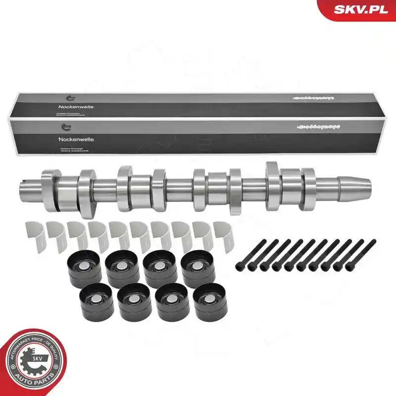 ESEN SKV 80SKV303