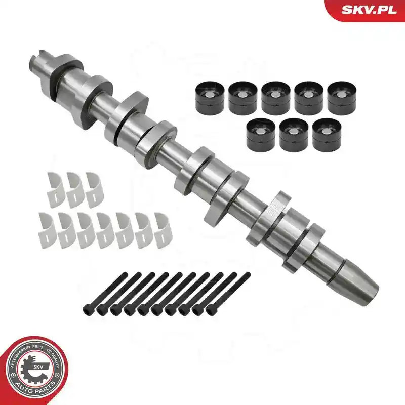 ESEN SKV 80SKV303