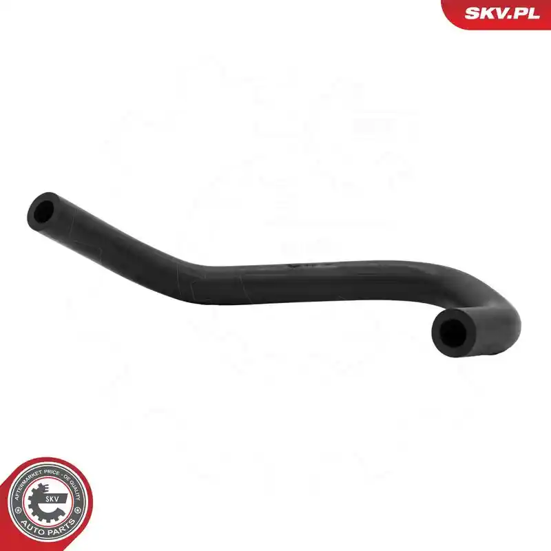ESEN SKV 87SKV313
