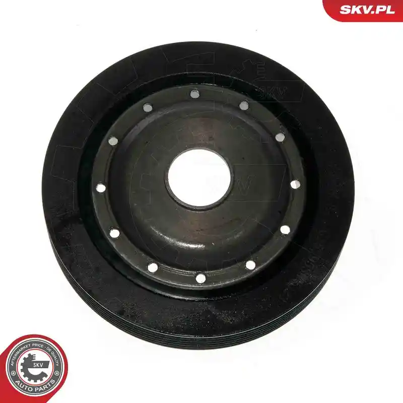 ESEN SKV 95SKV323