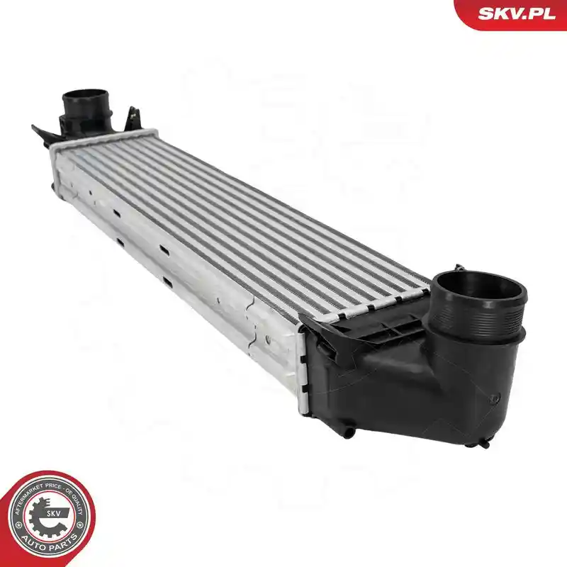 ESEN SKV 98SKV036