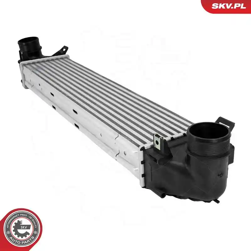 ESEN SKV 98SKV036