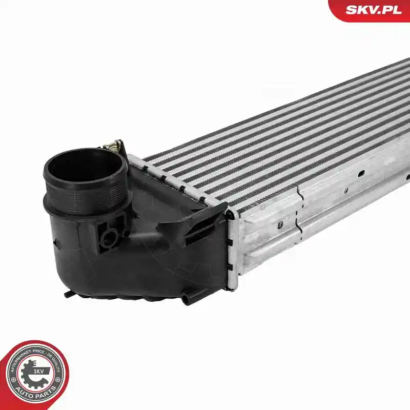 ESEN SKV 98SKV036