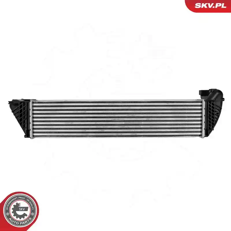 ESEN SKV 98SKV046