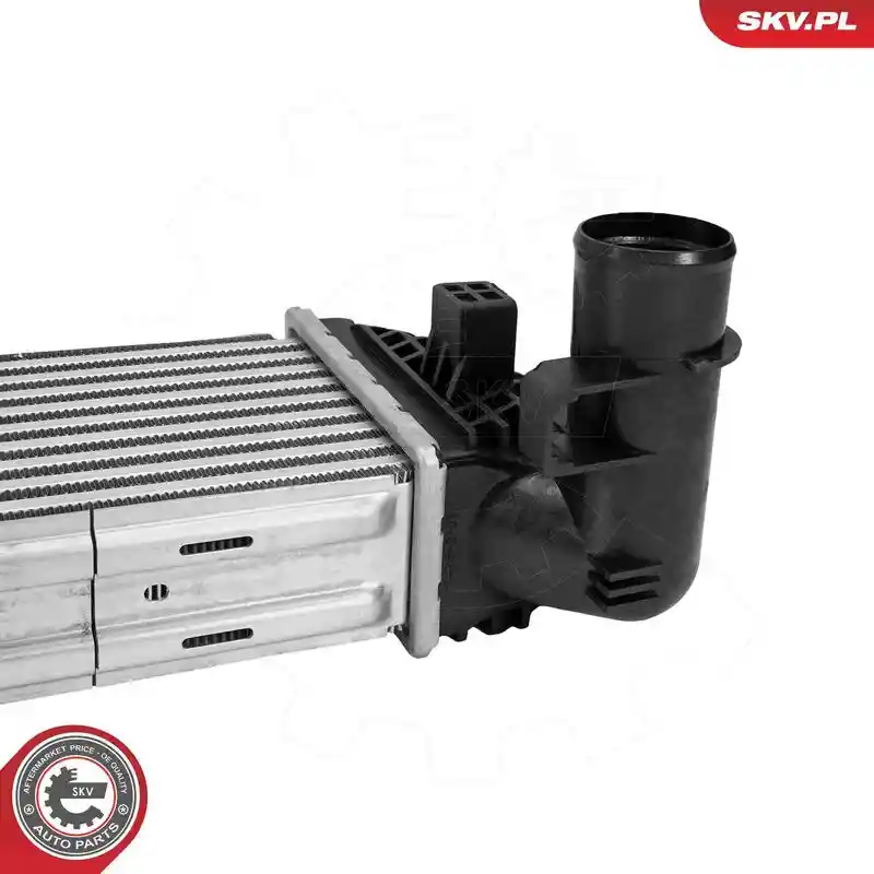 ESEN SKV 98SKV046