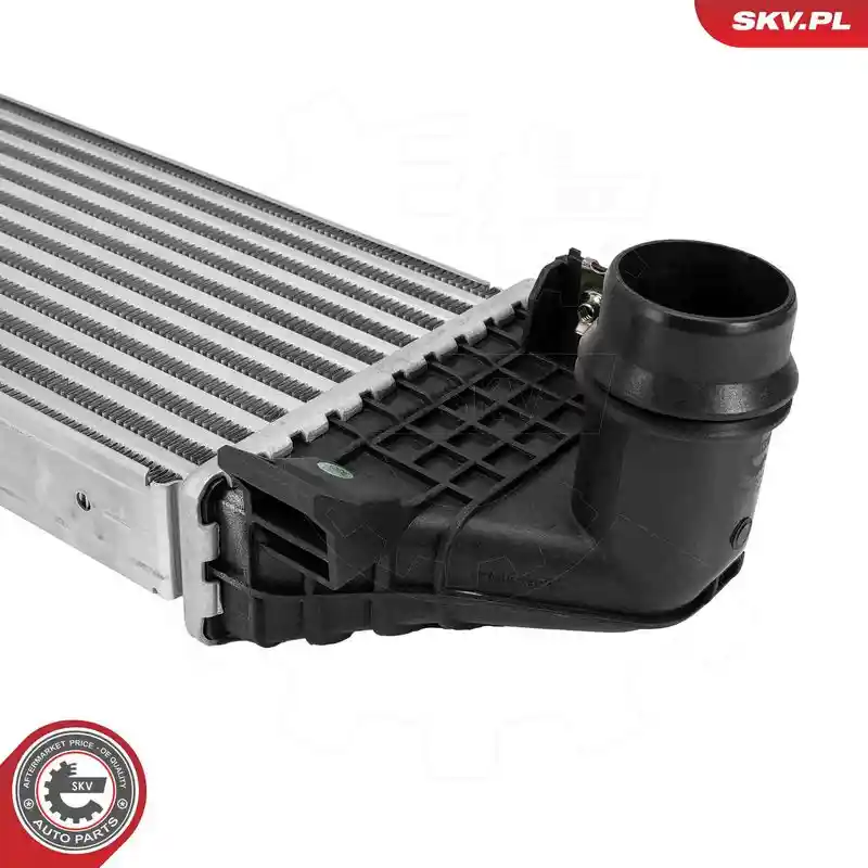 ESEN SKV 98SKV103