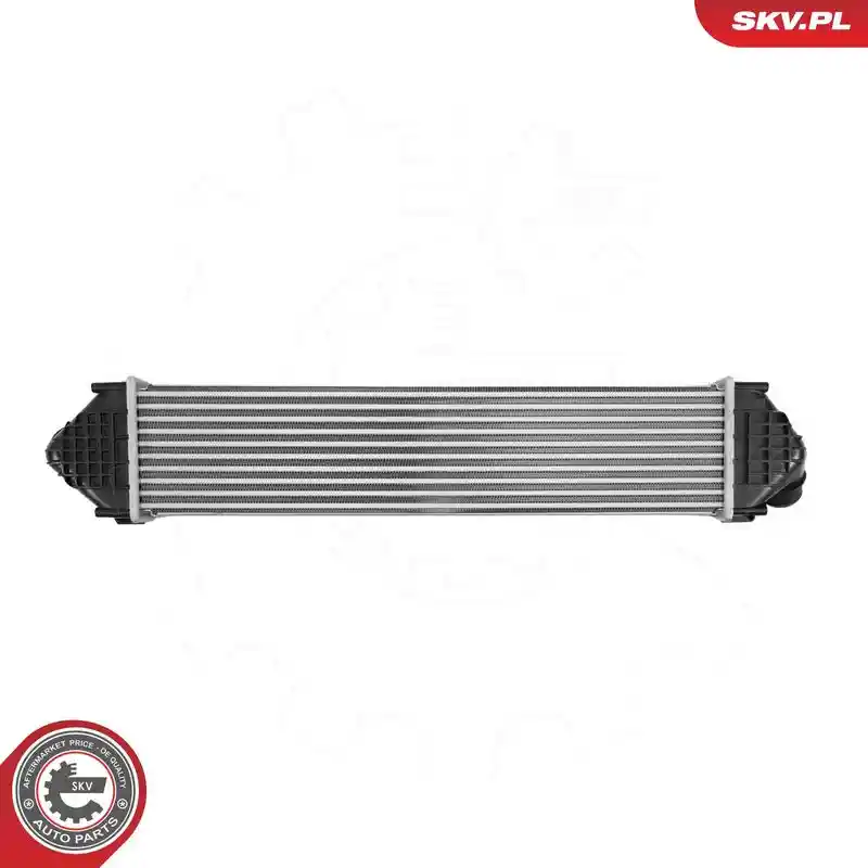 ESEN SKV 98SKV119