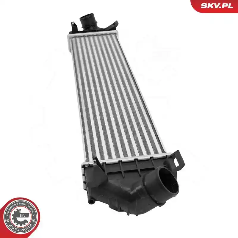 ESEN SKV 98SKV119