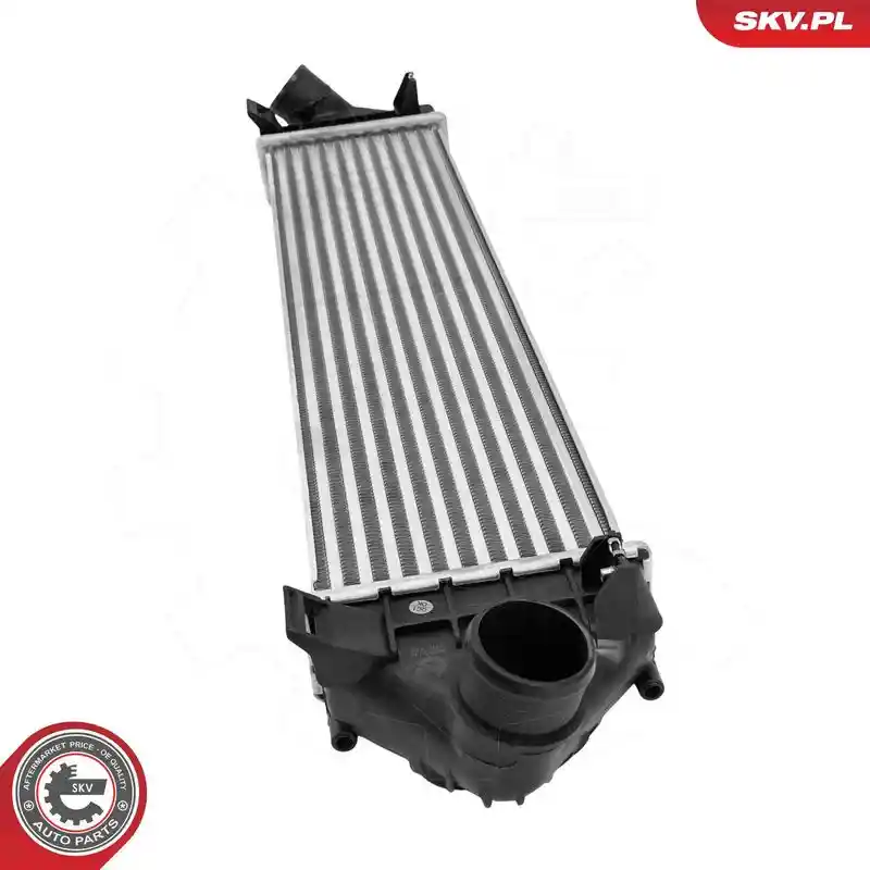 ESEN SKV 98SKV119