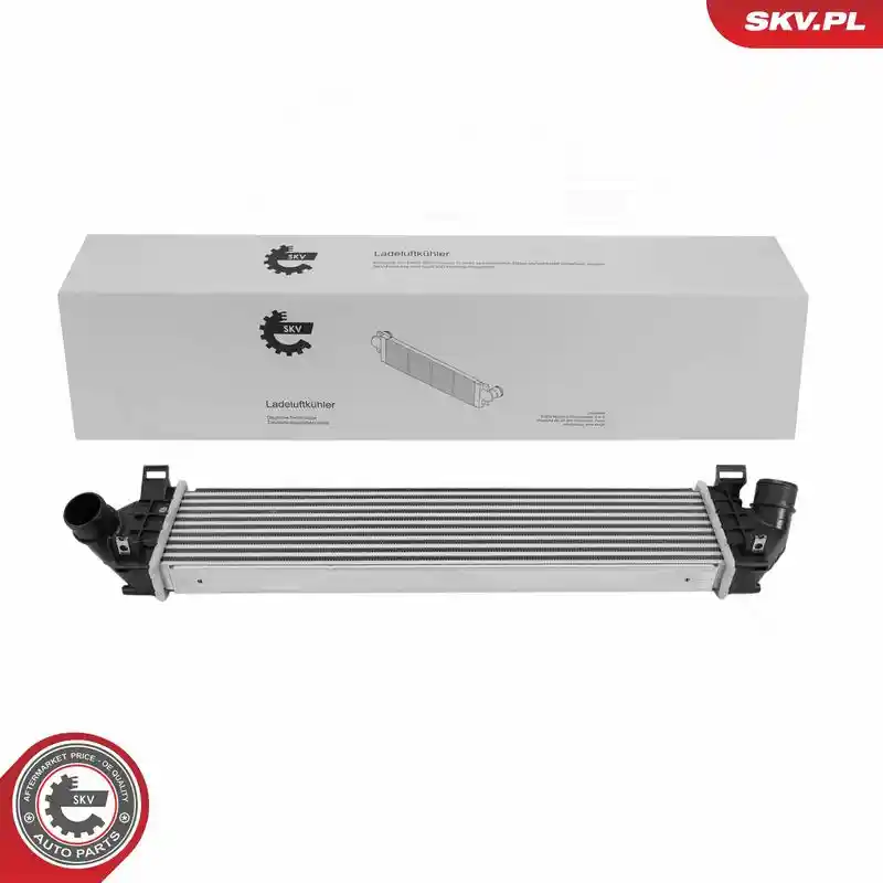 ESEN SKV 98SKV119