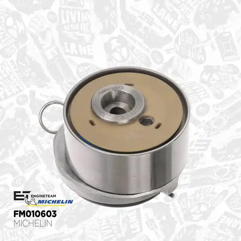 ET ENGINETEAM RM0030