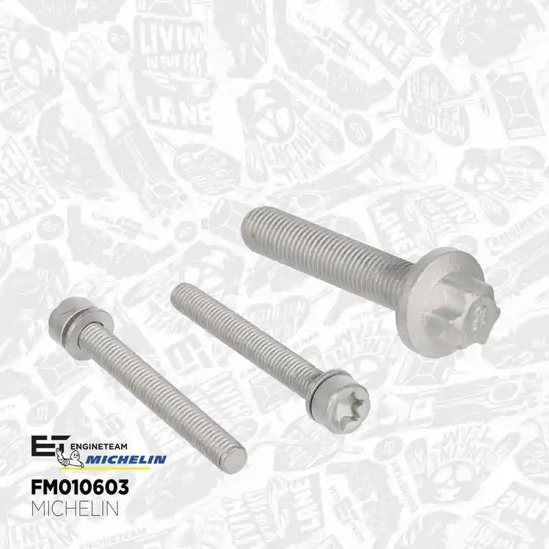 ET ENGINETEAM RM0030