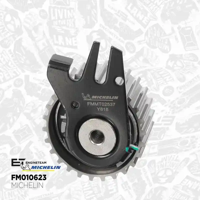 ET ENGINETEAM RM0035