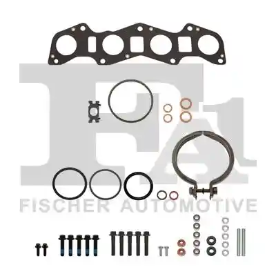 FA1 KT550510