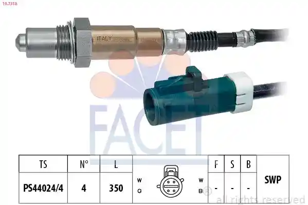 FACET 10.7318