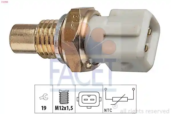 FACET 7.3191 FACET 7.3191