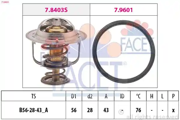 FACET 7.8403