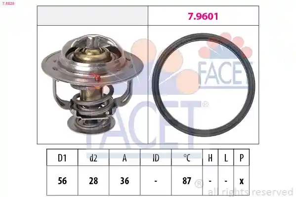 FACET 7.8828
