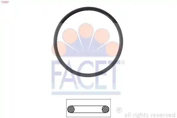 FACET 7.9527 FACET 7.9527