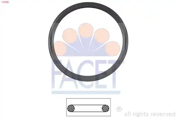 FACET 7.9538 FACET 7.9538
