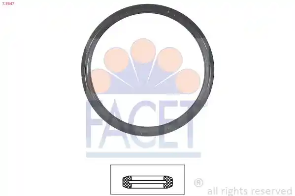 FACET 7.9547