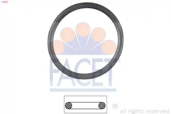 FACET 7.9551 FACET 7.9551