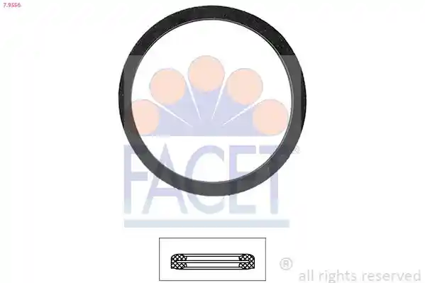 FACET 7.9556