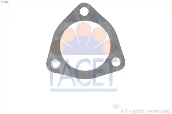 FACET 7.9613