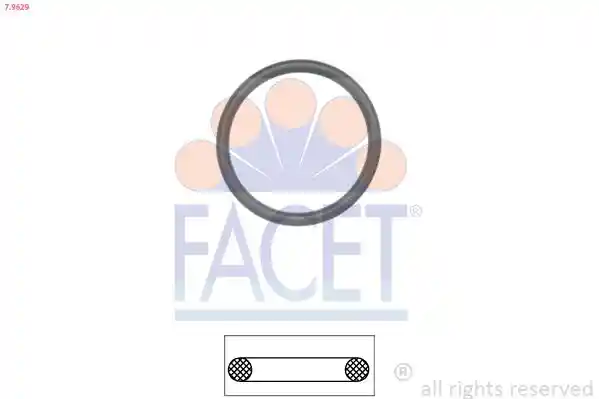 FACET 7.9629 FACET 7.9629