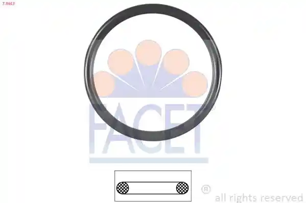 FACET 7.9653