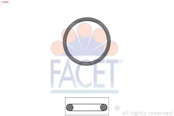 FACET 7.9660