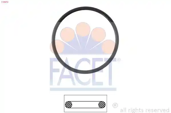 FACET 7.9672 FACET 7.9672