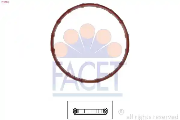 FACET 7.9700