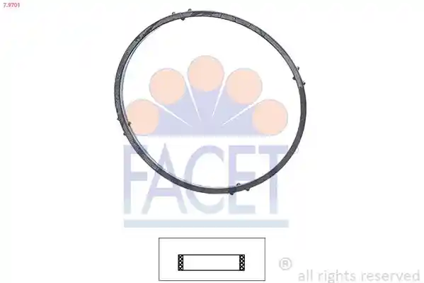 FACET 7.9701