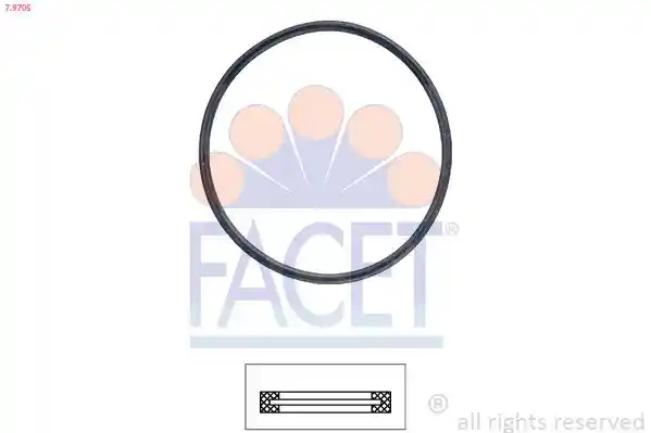 FACET 7.9705