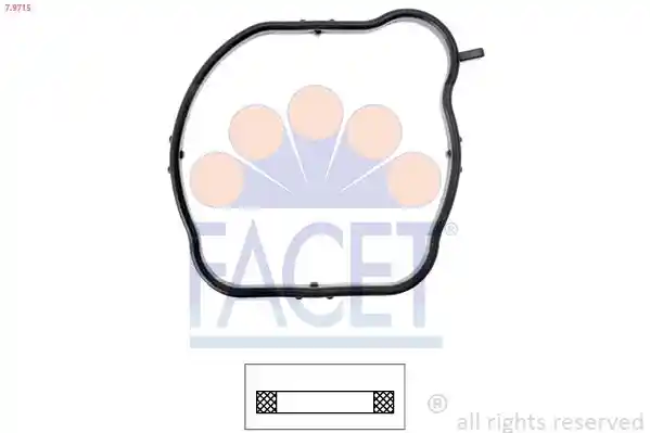FACET 7.9715