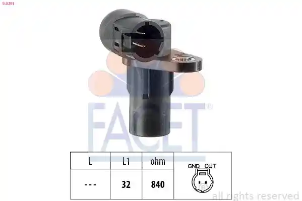 FACET 9.0291