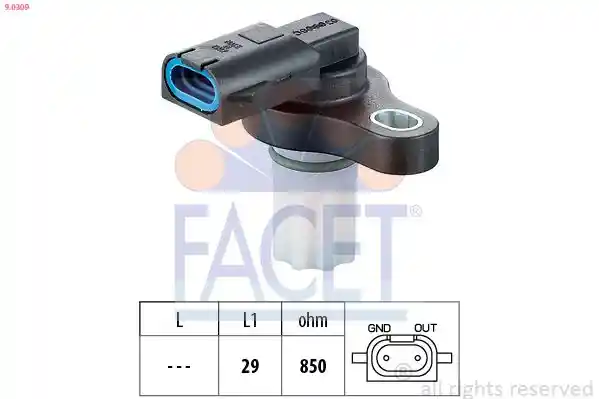 FACET 9.0309