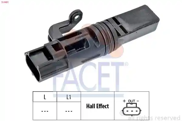 FACET 9.0481