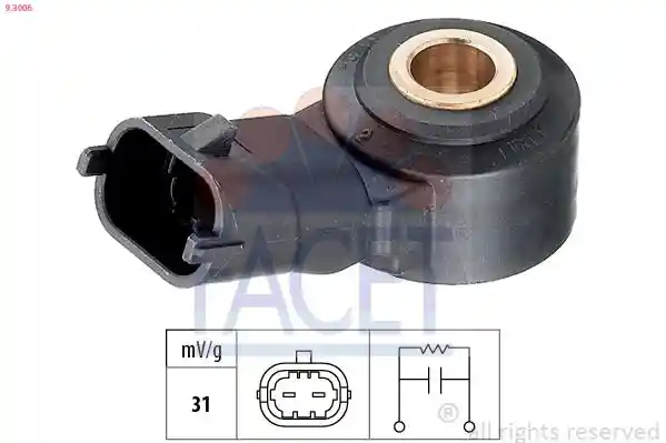 FACET 9.3006