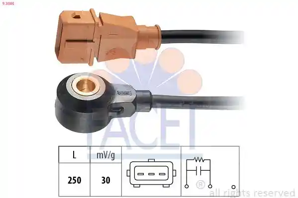 FACET 9.3065 FACET 9.3065